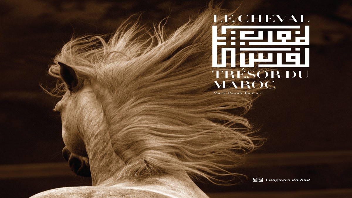 Ni9ach21-Cheval-tresor-du-Maroc-SOREC-livre-Marie-Pascale-Rauzier-Langages-du-Sud